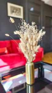 Appartements Place Carnot : photos des chambres
