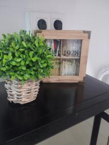 Coqueto apartamento Palacio de Congresos