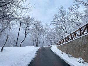 Kuca za odmor ,,Balkan”