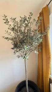 Apartment 7 im Herzen von Linz