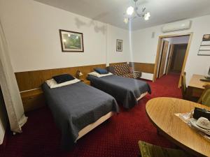 Twin Room room in Zamek Camelot