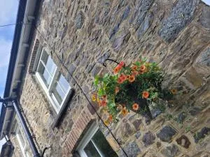 Brynteg cottage near seaside resort of New Quay - Llandyssiliogogo