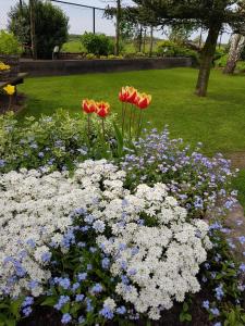 Bed & Breakfast de Ruijter