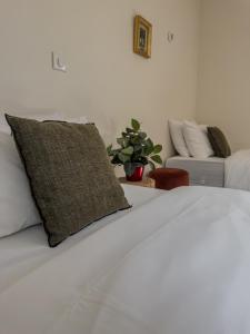 Appartements Duplex lumineux 2 chambres centre zone pietonne : photos des chambres