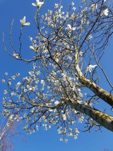 Bed & Breakfast de Ruijter