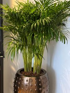 Studioverhuur De Nieuwe Doelen