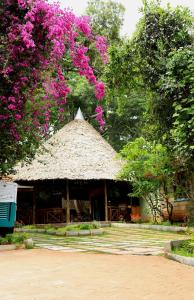 The Giraffe Cottages