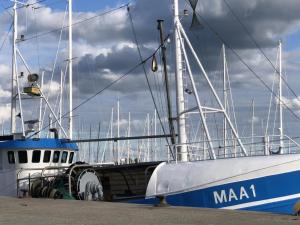 Ferienhaus Traumblick mit Meerblick
