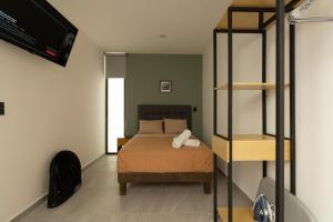 Lofts NUEVE - Centro Histórico Querétaro