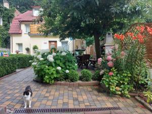 Pokój z łazienką Zwycięstwa