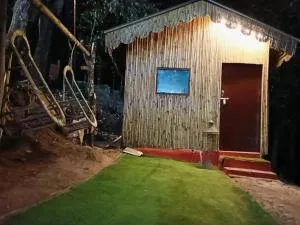 TTN - The Trekker's Nest - Badrinath