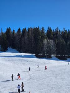 Appartement au pied des pistes, Les jouvencelles