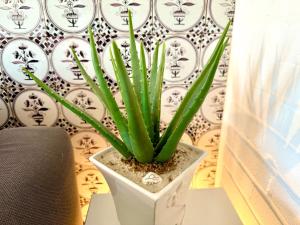 Deichhof Whg Möwennest