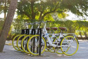 Best Western Naples Inn & Suites