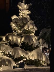 DOMEK POD TRÓJMORSKIM WIERCHEM