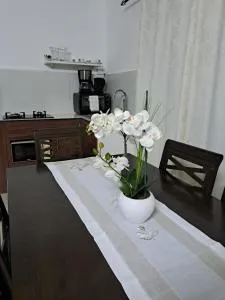 Studio Ametisse - Belle Mare