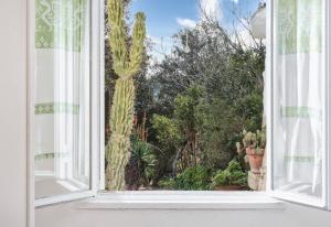 Villa Marinella img52