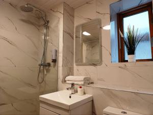 The Phoenix Park View