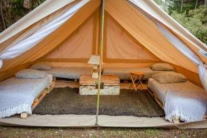 Campings Le Spot Saint-Trojan : photos des chambres