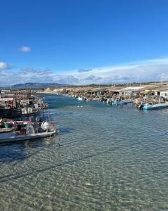 Le nid des hirondelles