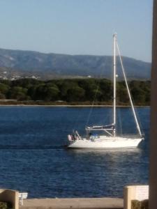 Le nid des hirondelles