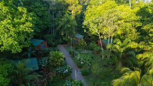 Citronela Lodge Corcovado
