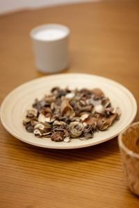 1832 Haven Residence - 2BR - Central