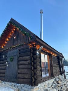 Карпати Плай Village