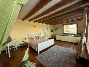 Finca Botanica Tao - 5 Bedroom Villa with Pool and Hot Tub