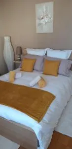 Résidence les Rossignols - 塞讷塞迪容