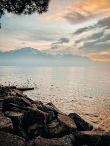 Appartements Chez Naomi - Studio Mirjam : Appartement 1 Chambre