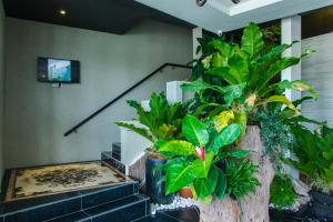 Midori Concept Hotel