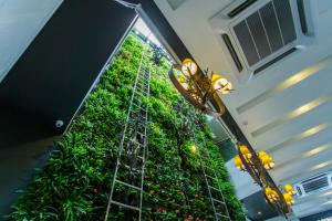Midori Concept Hotel