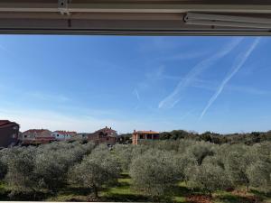 Apartman Panda - free parking