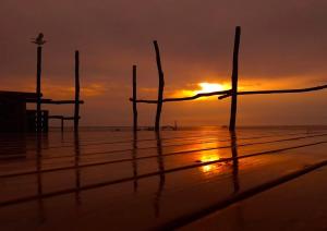 Chambres Du Petit Bonheur