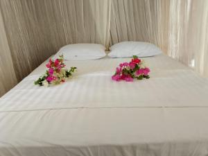 Black Coral Raja Ampat Homestay