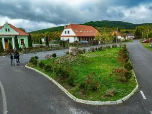 Vass Panzio - Felsöcsernàton