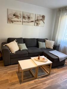 Appartements Appartement Cosy Mulhouse : photos des chambres