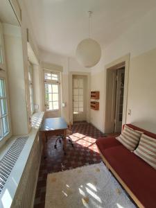 Grüne Wohlfühloase in einer Stadtvilla