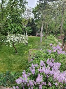Grüne Wohlfühloase in einer Stadtvilla