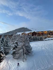 Appartement Alpe Huez 6 à 8 personnes centre station
