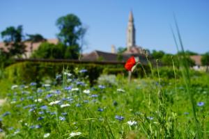 Hotels Abbaye de Royaumont : photos des chambres