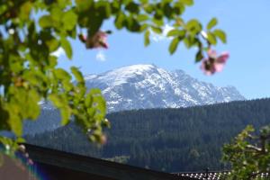 Watzmann-Appartement