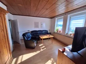 Waschbär - 洛费尔登