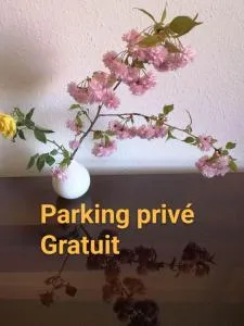 Appartement Zen Strasbourg center avec parking - Strasbourg