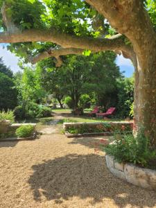 B&B / Chambres d'hotes Mas Tareau la Syrah : photos des chambres