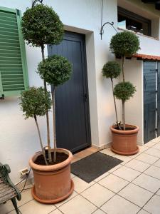 B&B / Chambres d'hotes Skylark Bed & Breakfast : photos des chambres