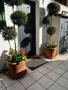 B&B / Chambres d'hotes Skylark Bed & Breakfast : photos des chambres