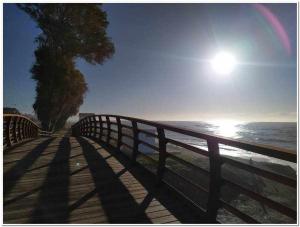 Cortijo alberca blanca beach