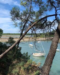 Villas La Grande Parenthese Villa Golfe du Morbihan : photos des chambres